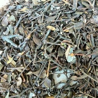 【无硫】核桃桑寄生 统货 产地 云南省临沧市市辖区图2