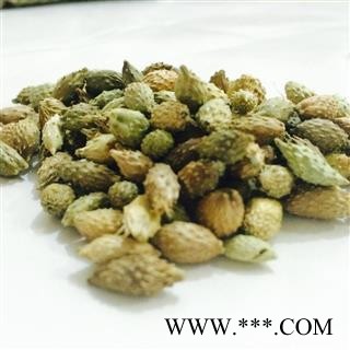 苍耳子 苍耳子中期黄绿色选货 产地 山东省图2