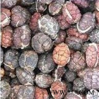 砂仁 进口砂仁米选货 产地 海外图2