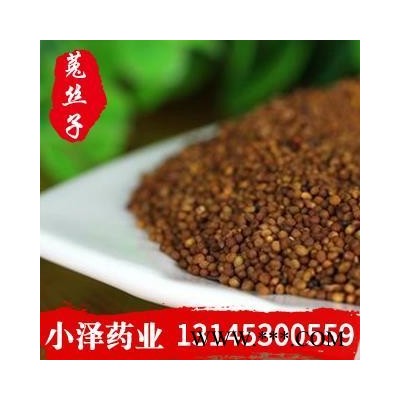 菟丝子 大菟丝子水洗选货 产地 宁夏回族自治区
