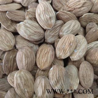 山桃仁 山桃仁统货 无硫  正品 含量高 产地 内蒙古自治区包头市图3