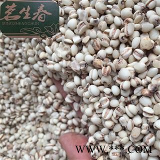 小薏苡仁 98选货 茗生春药材总公司 一手货源 7天无理由退换图2