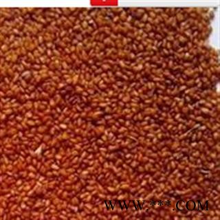 灵吉药业 葶苈子 别名:丁历、大适、大室图2