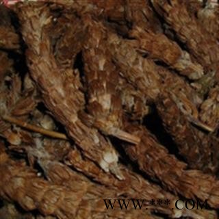 夏枯球 中药材批发 优质 促销图2