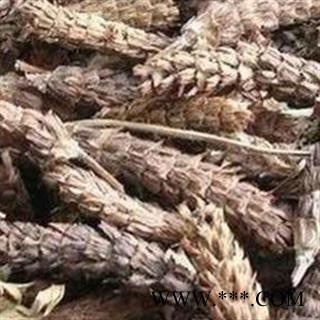 夏枯球 中药材批发 优质 促销图3