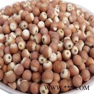 《满198包邮》芡实 芡实0.9 道地良药 产地 广东省图2