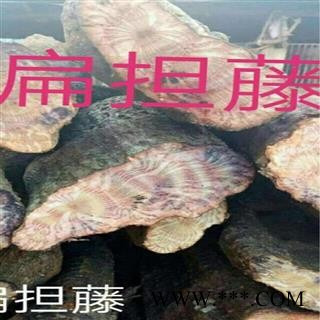 新鲜扁担藤 野生扁藤 过江扁龙 扁骨风 腰带藤 羊带风 整根生湿品批发