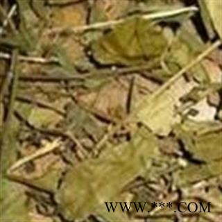 京辉药业 武靴藤 匙羹藤 金刚藤 蛇天角 饭杓藤 正品优惠 促销图2