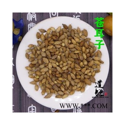 苍耳子 统货 产地 内蒙古自治区