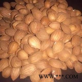 山桃仁 山桃仁选货 产地 山东省图2