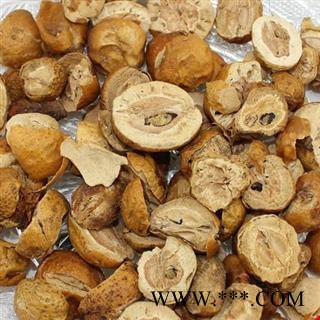 川楝子 统 产地 四川省图2