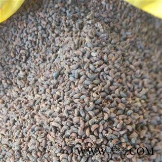 女贞子 女贞子腰果净货 产地 浙江省杭州市市辖区图3