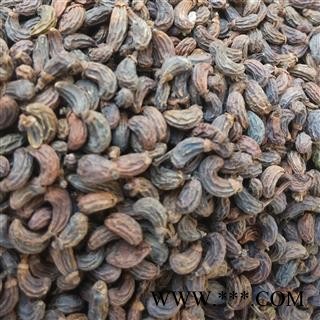 女贞子 女贞子腰果净货 产地 浙江省杭州市市辖区图2