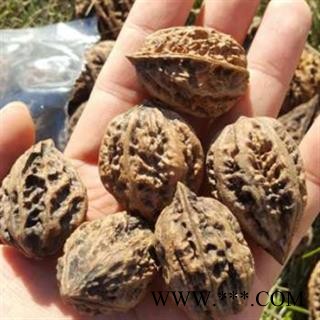 诺源药材行苑核桃 山核桃图2