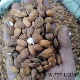 桃仁 产地直销扁桃仁个个饱满，断面白色。 产地 山东省图2