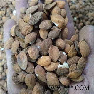 桃仁 产地直销扁桃仁个个饱满，断面白色。 产地 山东省图4