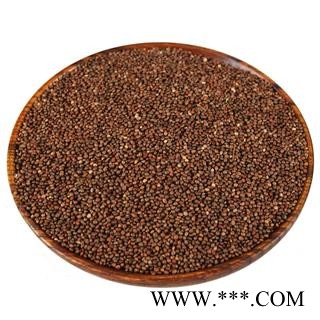 中药材批发 生紫苏子 紫苏子籽 黑苏籽图4