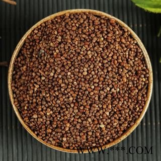 中药材批发 生紫苏子 紫苏子籽 黑苏籽图2