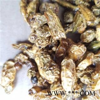 槐角 槐实 槐子 槐豆 槐连  蜜槐角图2