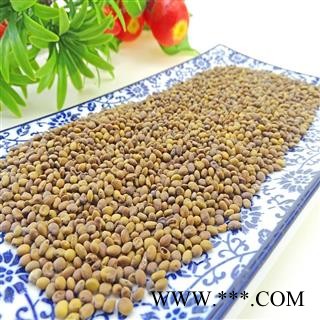 苦豆子 苦马豆 苦豆籽 羊尿泡 马皮泡图2