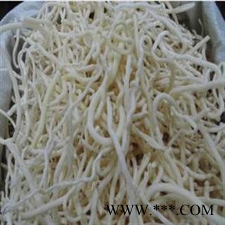 小通草 统 产地 广西壮族自治区玉林市玉图3