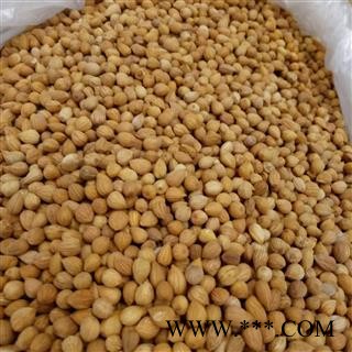 诺源药材行郁李仁  优质新货图2