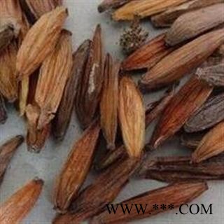 新辉药业中药材喜树果 千丈树 水栗子 天梓树图2