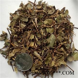 络石藤 络石藤 产地 浙江省图3