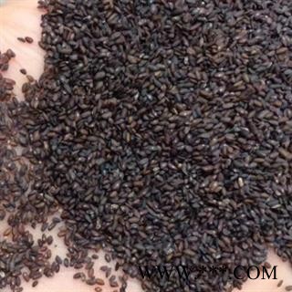 新辉药业正品中药材车前子图2