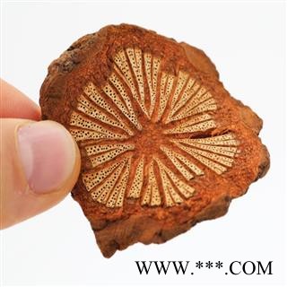 秦岭野生优质鸡血藤 1000克统 产地 陕西省商洛市山阳县图4