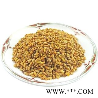 柏子仁 中药材  去壳柏子仁柏子仁茶柏子仁图4