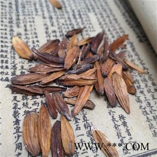 中药材 喜树果 千丈树 水栗子 天梓树图2