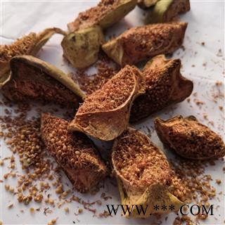 诺源药材行中药材木馒头 霹雳果 乃母果  鬼馒头图3