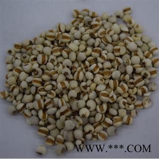 新辉药业正品国产薏苡仁 薏米图3