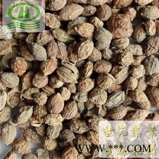 世元药业 益智仁 正品 益智子 摘艼子 各种调料批发零售图2