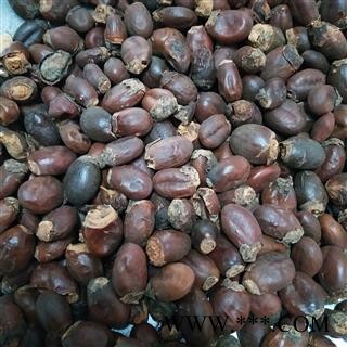 荔枝核 荔枝核统货 产地 广西壮族自治区图2