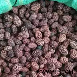 安祁名药正品印度菩提子  金刚菩提子 可用于工艺品或手串图2