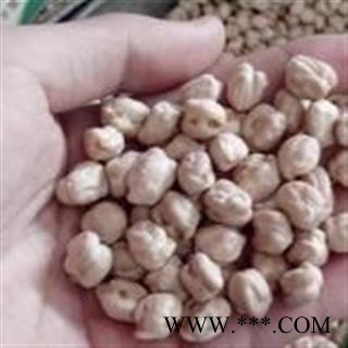 诺源药材行中药材天麻子鹰嘴豆 天麻豆 天麻籽 长寿豆图2