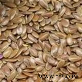 新辉药业正品亚麻籽 黄金亚麻籽图2