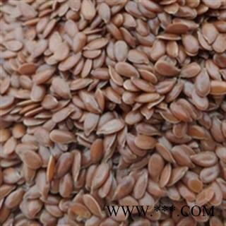 新辉药业优质亚麻籽 亚麻仁图2