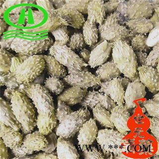 世元药业 苍耳子 新货 老籽比绿色药效更好 虱马头 老苍子 刺八裸 苍浪子 青棘子 痴头婆 胡苍子 苍苍子图2
