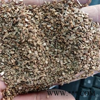 蛇床子 蛇床子净货 产地 山东省图4