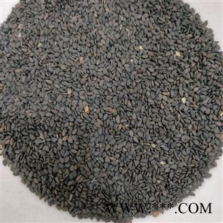 黑芝麻 黑芝麻净货 产地 山东省图4
