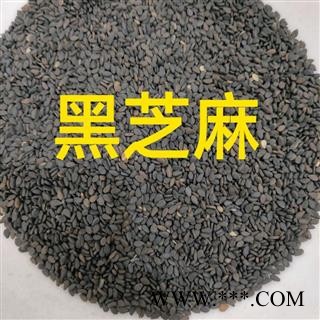 黑芝麻 黑芝麻净货 产地 山东省图3