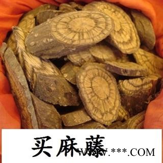 买麻藤  麻骨风 买子藤 驳骨藤 大节藤图2