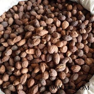 新辉药业正品草果 优质新货 各种调料图2