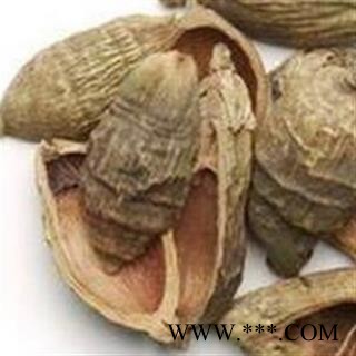 大腹皮 大腹毛统货 产地 海南省图2