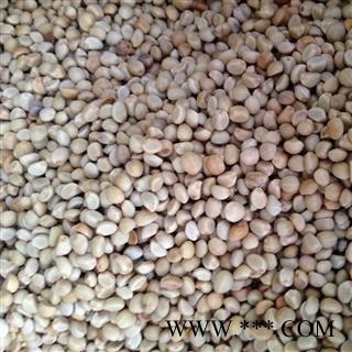 诺源中药材华佗豆 跌打豆 牵药材行牛子图2