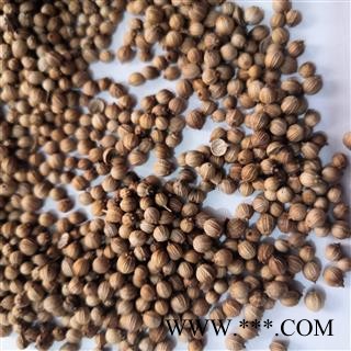 诺源药材行中药材芫荽籽 胡荽子香籽 香料调料图2