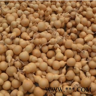 新辉药业中药材抽葫芦 全葫芦图2